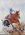 A young rodeo rider in outback Australia in  a campdraft competition. 