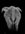 Elephant from behind in pointillism (white on black)