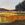 Farmland with distant hills and gumtrees. 