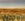 Looking over arid landscape of mulga trees to lake in the distance