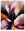 Fine Art Abstract Flowers