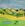 Australian landscape: colorful mountains, sky, canola fields, horses grazing at dusk and damp.