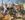  The eyes of a child, a dingo and spinifex pigeons in colourful landscape