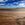 Oil painting of Lake Cowan looking across at an expanse of brown earth to the shimmery light on the horizon. The sky is a vivid blue with feathery white clouds clearing after a heavy rain.