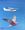 A galah in the foreground with a Cessna aircraft in the background, both flying in a clear blue sky.