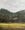 Flock of sheep in the foreground of a dramatic Australian landscape dense with gum trees.