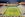 A League Final, Central Coast Mariners,Melbourne Victory, Football, Grand Final, Soccer, Panorama
