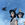 Two witches in witches hat with a blue sky, a day moon in the background and a black bird flying