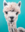 Behold the captivating charm of our Whimsical Alpaca Portrait, an exquisite piece of art destined to become the centerpiece of any room. This delightful image captures the essence of one of nature’s most adorable creatures, the alpaca, in stunning detail and with a touch of playful character that will surely warm your heart.

Perfect for animal lovers, art enthusiasts, or those looking to add a touch of nature-inspired charm to their décor, this painting offers versatile appeal. Inspired by Australian wildlife, it brings a unique and enchanting element to your home.