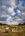 Golden paddock with round haybales below a dramatic sky and a glimpse of the ocean.
