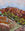 a path leads through spring growth in the outback, with flowering trees against red ochre rock and sunset tinged sky.