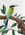 Rainbow Bee-eater Australian native bird illustration.