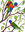 two Birds Rainbow Lorikeets 