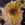 Child's hands holding a sunflower. Black background.