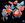 Abstract painting of orange and blue flowers against a black background