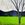 A blue tree with Lacey leaves sitting in a light green field with dark blue mountains in the background 