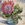 A bunch of pink tulips  in a bright glass vase