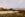 Sunlit field with wild grasses and orange flowers