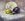 A small still life of a lemon and eggplant