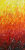 Flameworks is a striking acrylic painting that radiates intensity, warmth, and uncontainable energy. This piece captures the essence of fire through its masterful blend of vibrant reds, blazing oranges, and glowing yellows. The rich gradient evokes the sensation of flames rising and flickering, transitioning from deep crimson at the bottom to a bright, sunlit yellow at the top.

The artist’s technique adds both texture and movement to the canvas. Fiery brushstrokes sweep upward in fluid, flame-like patterns, while dynamic splatters of white and black paint scatter across the surface, reminiscent of sparks flying in the heat of a blaze. The contrast between these spontaneous splatters and the controlled, flowing brushwork creates a captivating tension and a sense of raw energy.

This piece celebrates light, heat, and the power of colour. Created with a passion for bold hues and guided by experimentation, Flameworks invites the viewer to feel the warmth and passion of the artist’s process. Perfect for modern and contemporary spaces, it will energise any room with its bold and fiery presence.