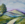 Impressionist landscape with verdant green hills and a sunrise sky.