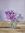 Pink, purple and white cosmos flowers in a small bottle on a timber bench. Interesting shadow patterns. 