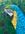 Blue & yellow Macaw with green jungle background.