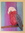 (CreativeWork) Gerry the Galah  by Debra Vivarini. Acrylic. Shop online at Bluethumb.