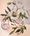 Gum leaves and branches in glass vase