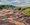 Rocks sand and windswept coastal vegetation Western Australia