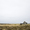 A wintery sky above a field of olive drab grass. An abandoned house sits on the horizon on the right.