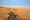 Bright yellow, ochre and orange desert landscape featuring Masada. Light blue sky.