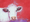 Oil painting of a white cow on a red background. It has a white frame to match.