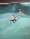 Two children night swimming in a pool