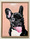 Frenchie
Oil on Canvas (framed)
45x60cm