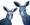 Two Grey Kangaroo Portraits