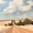 Painting of Western Australia wheatbelt