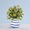 Lemons, stripes, flowers, vase, stilllife