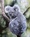 an oil painting depicting a grey Australia koala sitting in a tree, against a blurred background of green foliage.