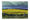 Canola Fields with moody storm clouds lingering