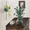 Bromeliad in a large jar of water sitting on a timber cabinet.  A lime devils ivy hangs from the wall to the left of the composition.   There is a white mug to the left of the jar and a picture in the background.  