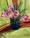 Pink tulips sit in a vintage blue glass jar on a lime green tablecloth with pink stripes.