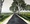 Landscape of road with gum trees 