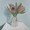 Three pink Protea flowers in a clear glass vase on a grey and white background.