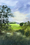 A farm scene, early morning light illuminating the fields in the distance with the silhouette of a large tree near a creek in the forground.