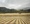 Rustic old cabin with mountains and yellow dry grassy fields. Cornfield, cornrows. 

This artwork is UNFRAMED waiting for your personalisation . All images depicting frames are for inspirational purposes only . 