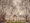 Winter photograph of the Royal Exhibition Building at Carlton Gardens featuring bare trees, central fountain and grunge effect captured by the photographer.