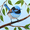 Fairy Wren bird