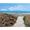 A sand beach access path between grassy dunes, looking out at low tide to two people fishing and the distant horizon beneath a blue cloudy sky.