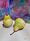 Still life of pears.
